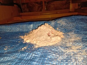アライグマ駆除の施工写真