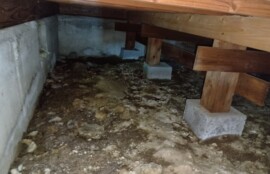 アライグマ駆除現場の確認写真