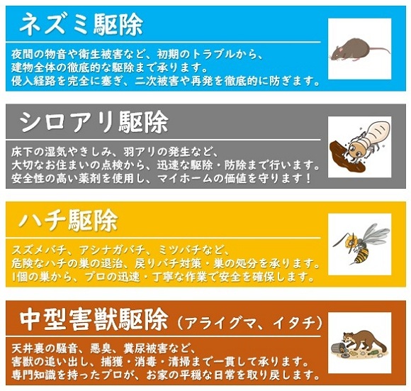 サービス内容