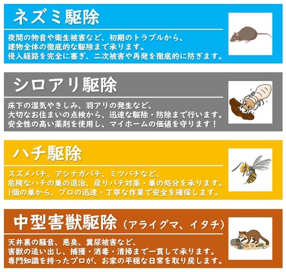 サービス内容