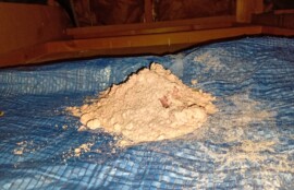 屋根裏で行ったネズミ駆除の施工写真