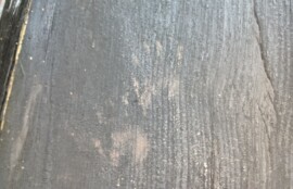 アライグマ駆除の施工写真